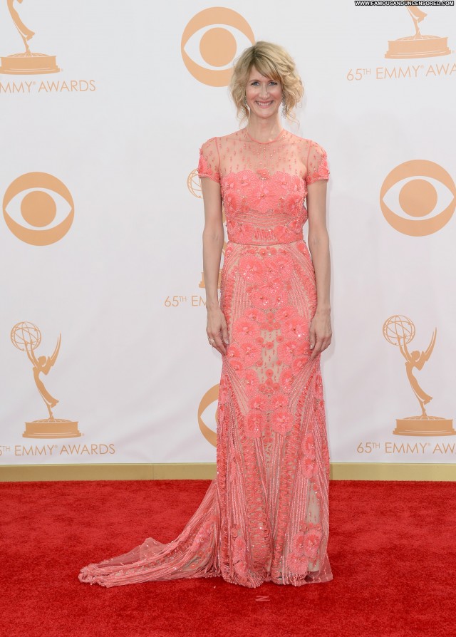 Laura Dern Primetime Emmy Awards Beautiful Celebrity Babe Posing Hot