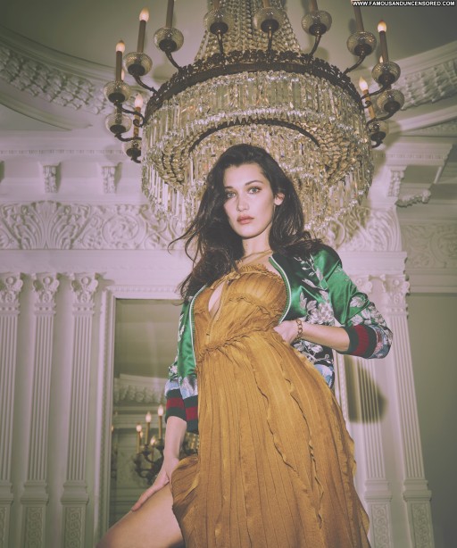 Bella Hadid Posing Hot Celebrity Straight