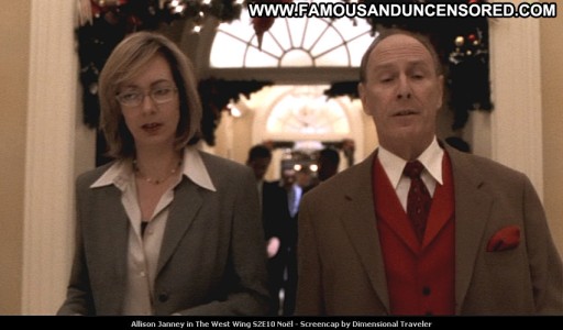 Allison Janney Straight Tv Series Babe Posing Hot Beautiful Celebrity