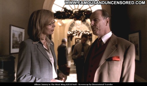 Allison Janney Straight Tv Series Babe Posing Hot Beautiful Celebrity