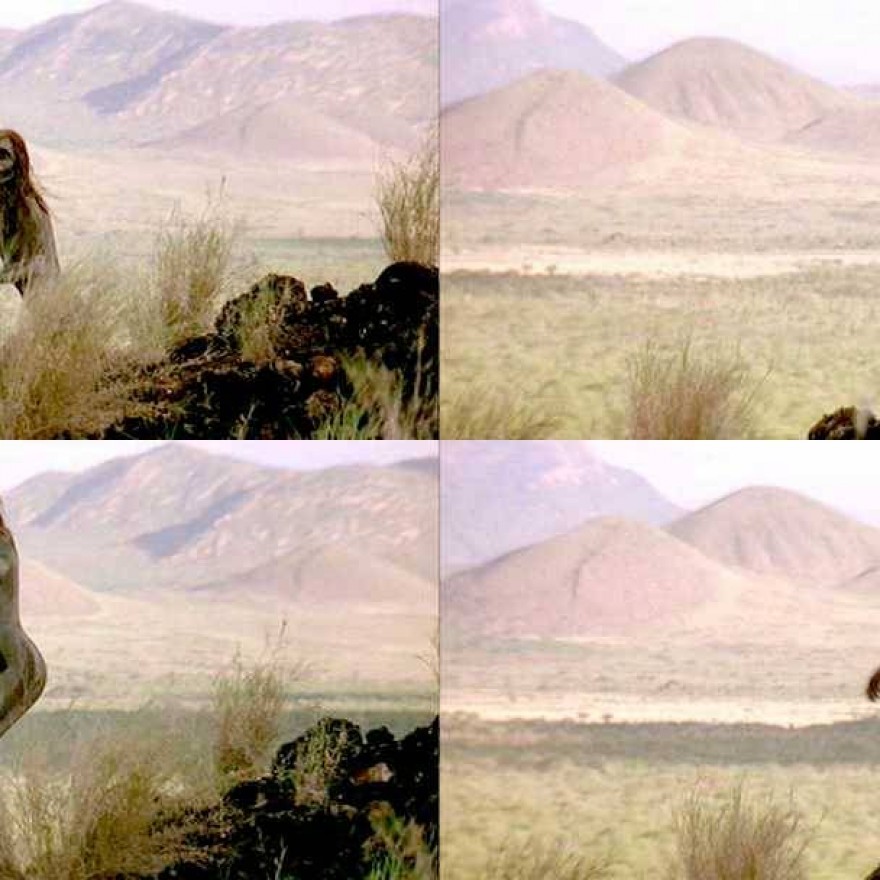 Rae Dawn Chong Straight Sexy Nude Scene Celebrity Beautiful