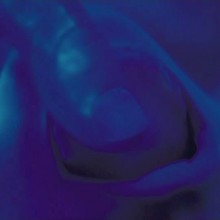 Malin Akerman Sexy Beautiful Nude Scene Celebrity Straight