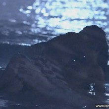 Salma Hayek Nude Scene Beautiful Straight Celebrity Sexy