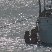 Amber Heard Celebrity Nude Scene Sexy Beautiful Straight