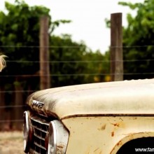 Rachael Taylor Straight Beautiful Sexy Nude Scene Celebrity