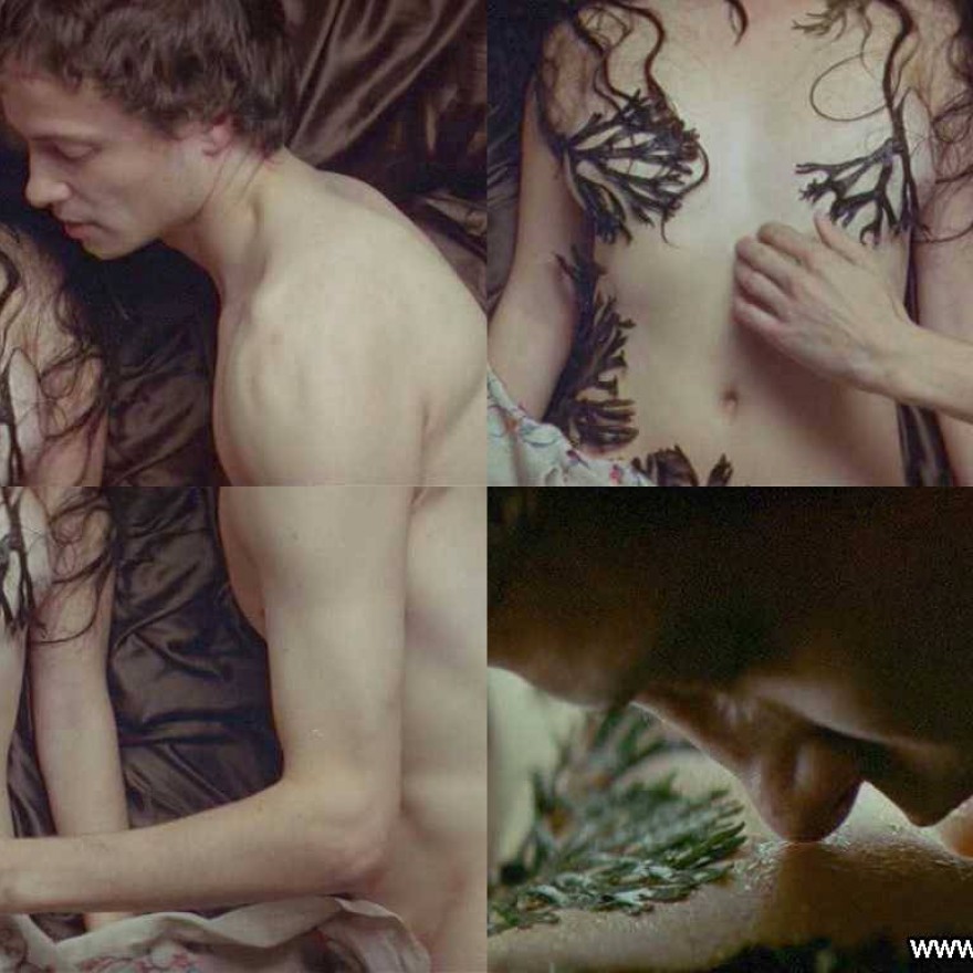 Michelle Williams Beautiful Celebrity Nude Scene Straight Sexy