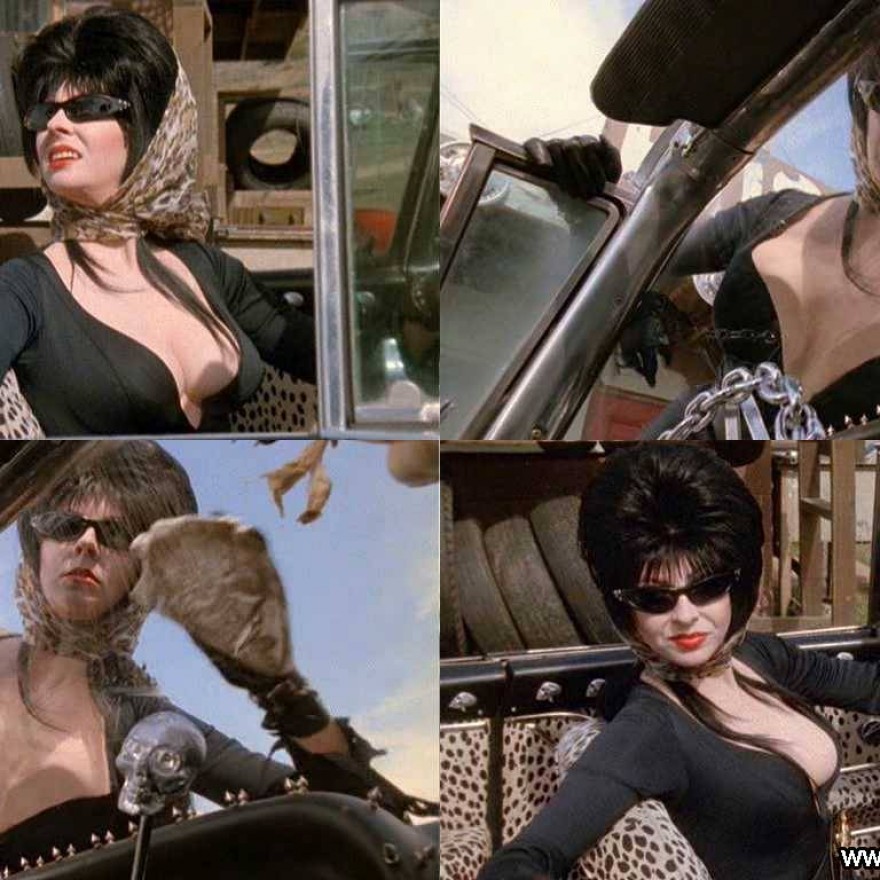 Elvira mistress of the dark topless