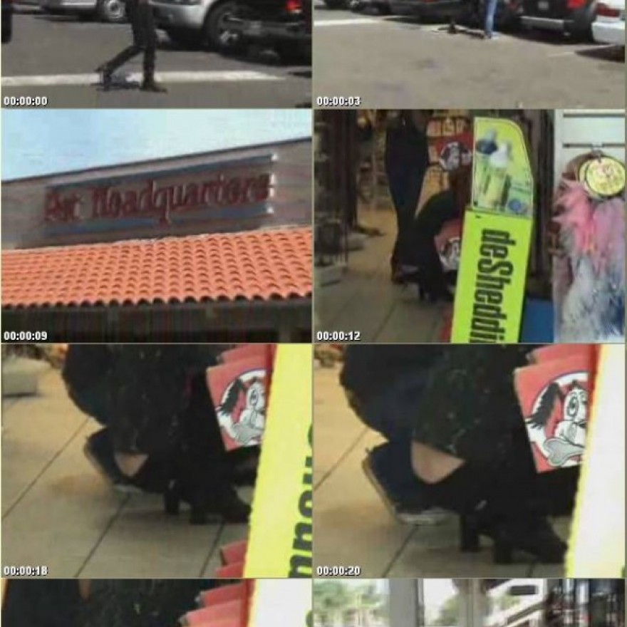 Mischa Barton Celebrity Nude Scene Sexy Straight Beautiful