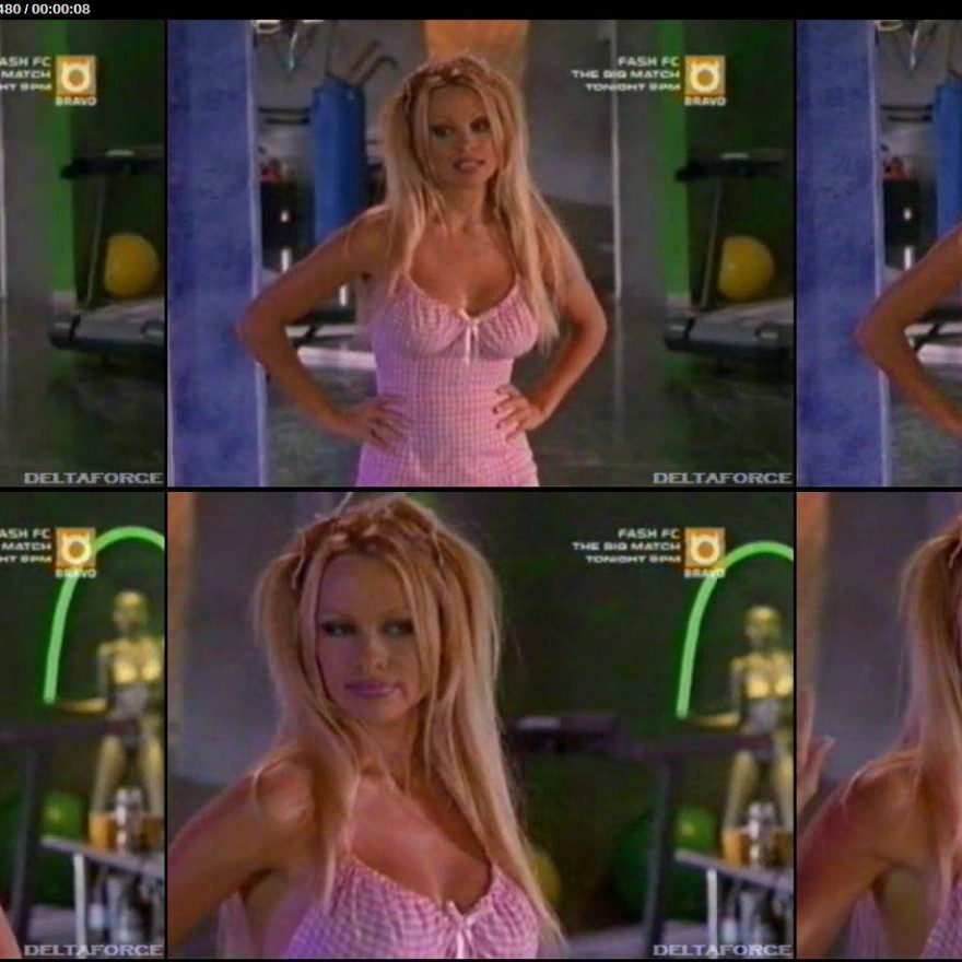Pamela Anderson Beautiful Nude Scene Celebrity Sexy Straight