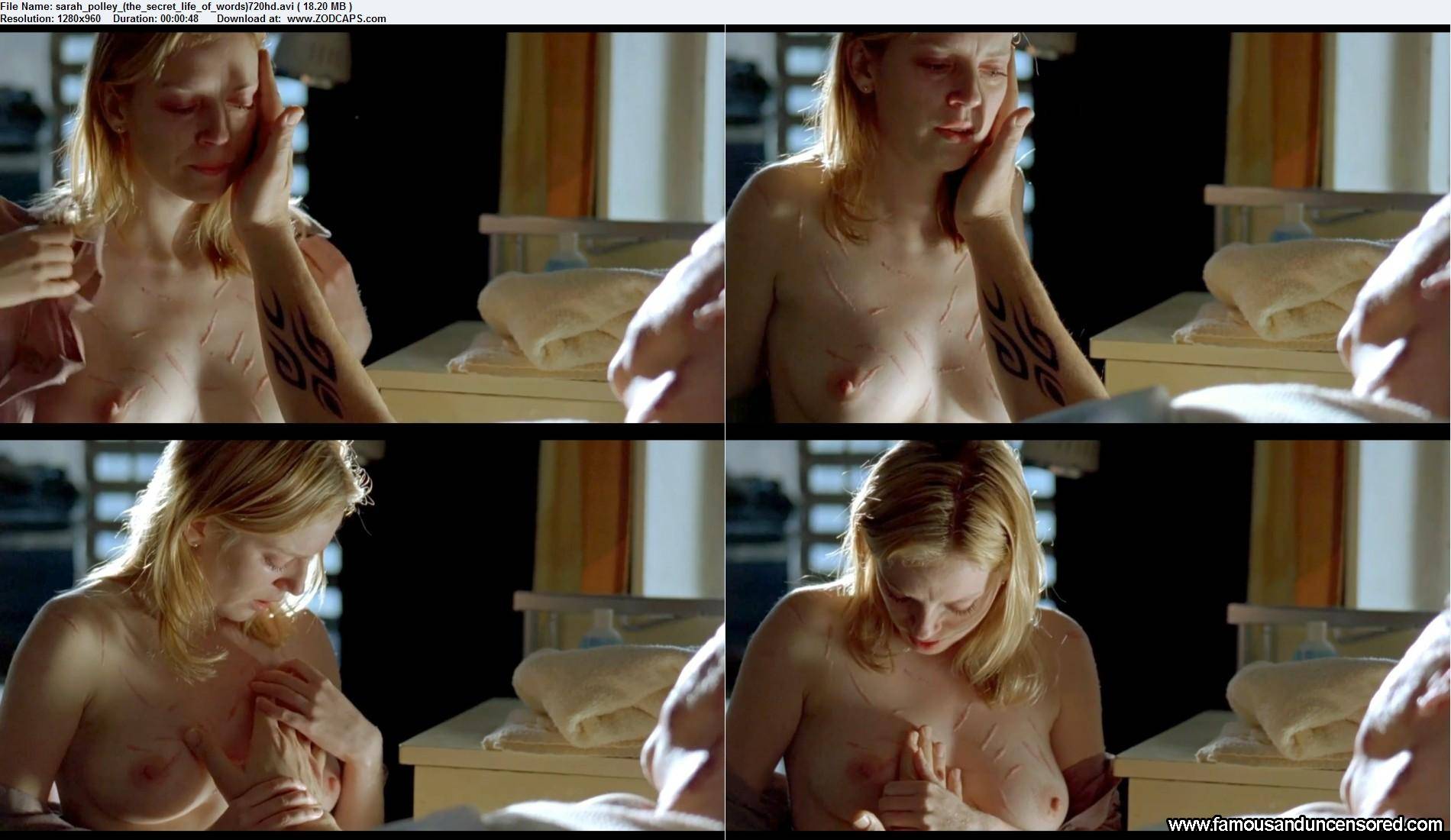 Sarah polley nude.