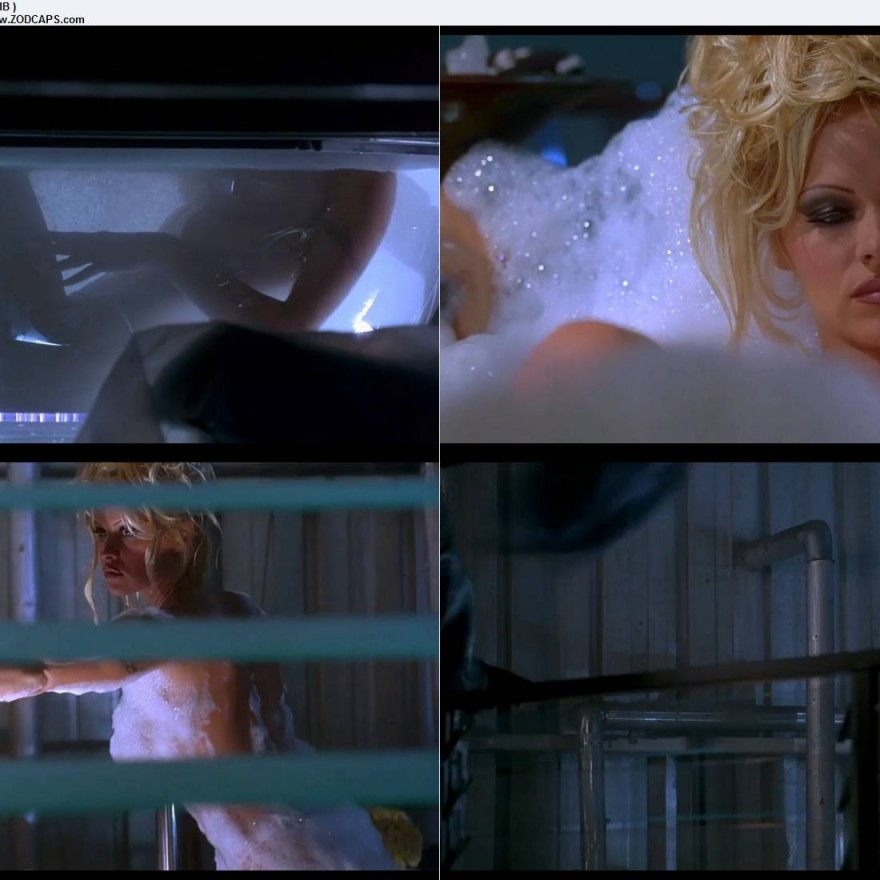 Pamela Anderson Beautiful Nude Scene Celebrity Straight Sexy